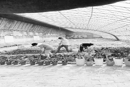 主题公益活动关爱孤独症及心智障碍群体