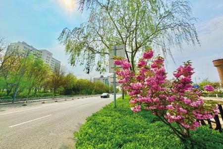 本版图片除署名外均为资料图片