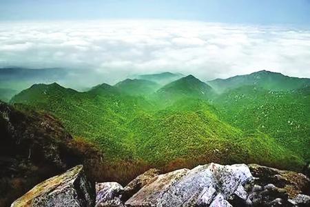 兴唐寺 本版图片均为资料图片