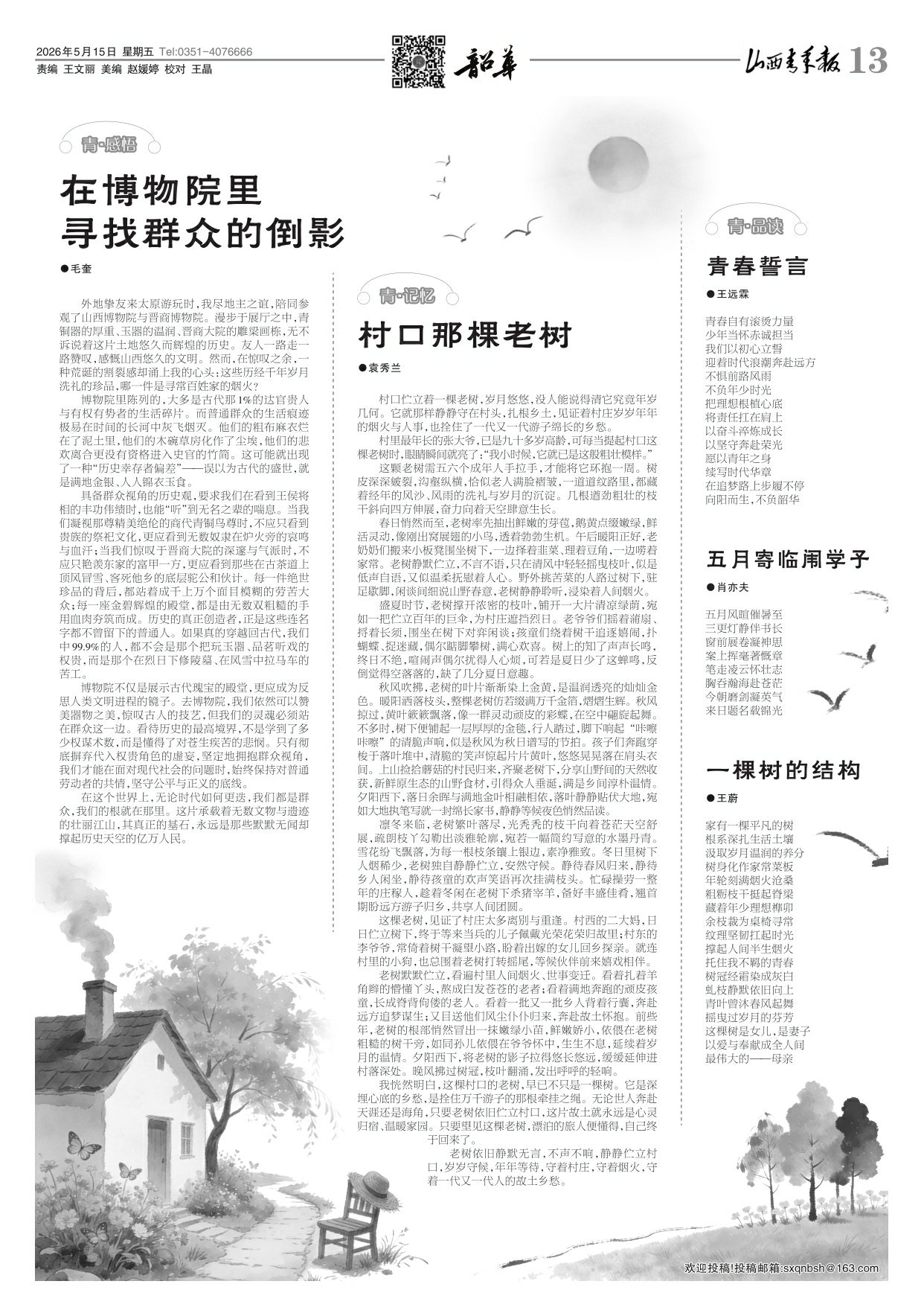 第13版