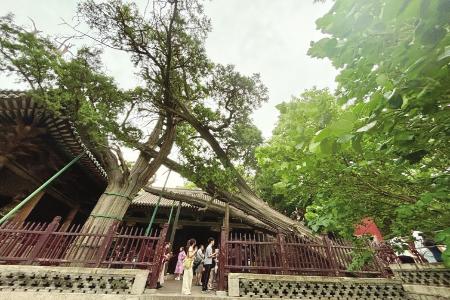周柏 本报记者 任小芳 摄