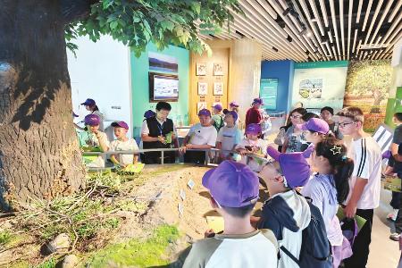 本组摄影 本报记者 张云鹏 孟存田