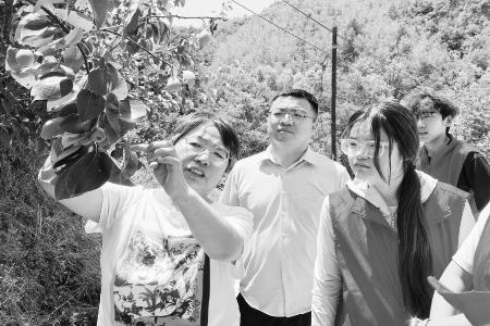 把青春足迹印在乡土大地 图片由临汾职业技术学院团委提供