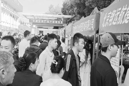 专场招聘稳就业惠民生