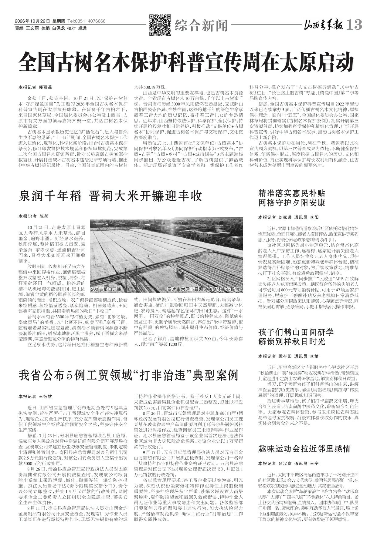 第13版