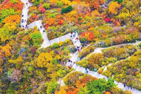 崛山围山红叶 本版图片均为资料图片